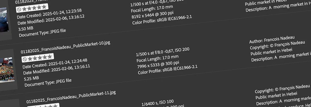 List of photo files with their metadata: dates, author, copyright and description