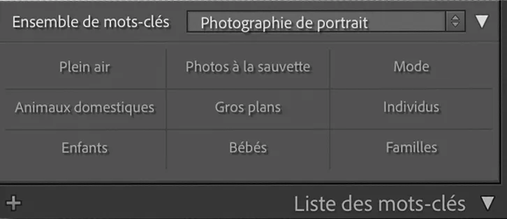 Lightroom keyword set for portrait photography: outdoor, candid, fashion, children, families